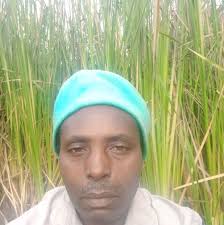 Truck Brochure Kingdom