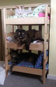 Triple Bunk Beds For Cats Ikea Ikea Hacks For Cats Diy Cat Bed Cat Bunk Beds