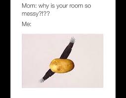 Did potato flew around before you came excuse the? A Potato Flew Around My Room Stupid Memes Fresh Memes My Room