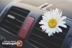 Maybe you would like to learn more about one of these? Cara Menghilangkan Bau Busuk Di Dalam Kereta
