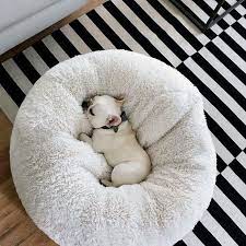 Top 3 recommended calming dog beds. Calming Dog Bed Uk Anti Anxiety Dog Bed