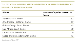 Birds Biodiversity Atlas Kenya