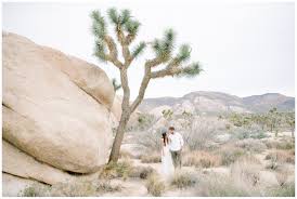 Distance from wisconsin to california is 2,701 kilometers. Janelle Brian S Whimsical Joshua Tree Engagement Session Some Cali Dreaming Meghan Lee Harris
