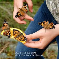 On The First Weekend In May The Mariposa Butterfly Festival Celebrates The Spanish Name Of The Historic Gold Rush T Mariposa Yosemite Mariposa County Festival