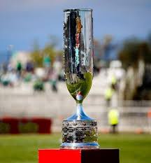 El sitio oficial del f�tbol chileno. Estas Fueron Las Sorpresas De La Primera Fase De La Copa Chile