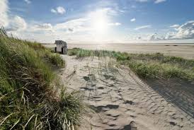 Dunen Auf Borkum Beliebte Urlaubsziele Urlaub Urlaubsziele
