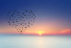 An editor at life and. Finding Ease Loving Life Three Principles Living