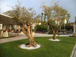 Il Portico D Ingresso Picture Of Restaurant Villa Giardino Paderno Franciacorta Tripadvisor