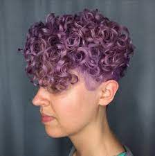Cool Short Curly Purple Hairstyles Lavender Hair Hot Hair Styles Lilac Hair