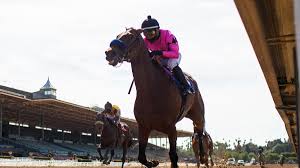 2021 breeders' cup challenge series. 2021 Get Serious Stakes Odds Predictions Lineup Expert Who Nailed Tampa Bay Derby Shares Surprising Picks Cbssports Com