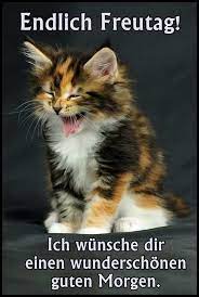 freitag 64 in 2021 liebe guten morgen grusse guten morgen guten morgen bilder tiere