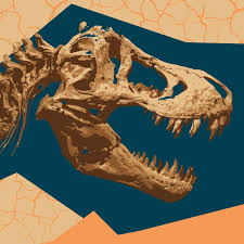 Image result for Dignathia