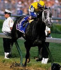 Winning Colors Horse Wikipedia