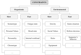 Individual growth patterns and biological make up; On The Relatedness And Nestedness Of Constraints Sports Medicine Open Full Text