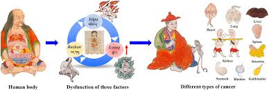 According to the american cancer society(1), men have a 39% chance of developing cancer during their lifetime. Frontiers Traditional Tibetan Medicine In Cancer Therapy By Targeting Apoptosis Pathways Pharmacology