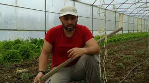 Solucan Gubresi Mi Guvercin Gubresi Mi Domates Ve Hiyar Capalama Youtube