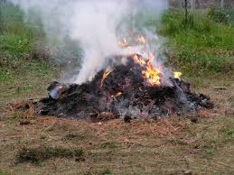 Instead, you can dispose of household or garden waste by composting or recycling it. Garden Bonfires The Burning Issue Of What You Can And Cannot Do B14 News