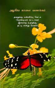 Pin By Lavanya On A Tamil Quotes Plants Dandelion Good Morning