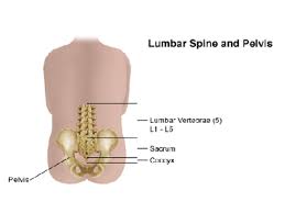 From wikipedia, the free encyclopedia. Low Back Pain Causes Symptoms And Treatments Piedmont Healthcare
