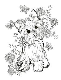 While a toddler or preschooler might scribble all over a coloring sheet, with no respect for the boundaries (lines on the coloring page), as the child gets older, they will begin to respect those lines. Current Yorkie Coloring Pages Leslie Website