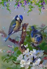 Beautiful Bird Paintings On Canvas Https Encrypted Tbn0 Gstatic Com Images Q Tbn 3aand9gcquhgmxz7l1wemt9i4nqnjnhyxby94v7lr Tq Usqp Cau