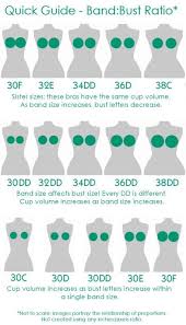 Quick Guide Band Bust Ratio Bra Fitting Bra Style