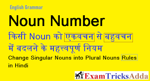 What is a noun in hindi. Noun Numbers Singular à¤¸ Plural à¤¬à¤¨ à¤¨ à¤• à¤†à¤¸ à¤¨ à¤¨ à¤¯à¤® Examtricksadda