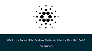 You can download free logo png images with transparent backgrounds from the largest collection on pngtree. What Is The Future Of The Cardano Blockchain After The Mary Hard Fork