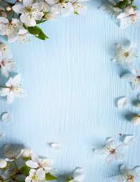 White Pear Flower Sprinkle Around Sky Blue Wood Photography Backdrop Blue Flowers Background Flower Background Wallpaper Backdrops Backgrounds
