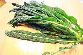 イタリア野菜の販売ページ 島根県松江市八雲町で作った 無農薬 無肥料 自然栽培 です