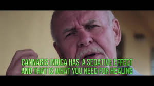 I have another relative with lung cancer i need to get to work on asap. How To Make Rick Simpson Oil Youtube