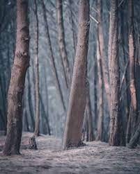 Cb background download full hd. Nature Background Images Hd For Editing Picsart Download