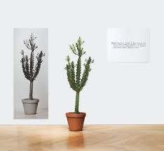 Lot Sotheby S Joseph Kosuth Conceptual Art Contempory Art