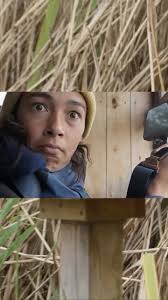 Ever wondered what bird can hit the sassiest split? 🤸🏾‍♀️ look no further  than the autumnal reed beds of RSPB Leighton Moss to find our martial  artist, the Bearded Reedling! 🌾🪶 , Stay tuned for more ...