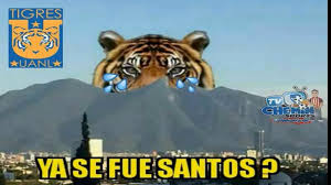 The best memes from instagram, facebook, vine, and twitter about tigres. Los Mejores Memes De La Victoria De Santos Sobre Tigres Futbol Total