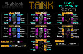 1 class passives 2 dungeon stone abilities 3 ghost abilities 4 leveling bonus 5 recommended gear 5.1 armor 5.2 weapons 5.3 pets 5.4 support items 5.5 reforges 5.6 how to play healer 6 milestones 7 trivia 8 history renew: Guide Dungeon Gear For All Classes And Floors Tank Berserk Update Hypixel Minecraft Server And Maps