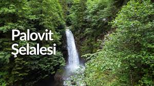 Palovit şelalesi, rize ilinin çamlıhemşin ilçesine bağlıdır. Palovit Selalesi Ve Yolu Youtube