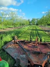 Profile for Apollos Pecan Nursery, Villa, and Hunts