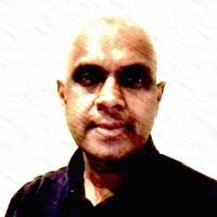 Diana Dong Email & Phone Number