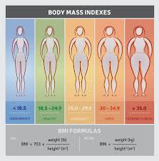 6 Reasons Why Bmi Is Not The Best Indicator Of Healthy Body