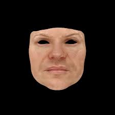 High-Fidelity Facial Reflectance and Geometry Inference From an  Unconstrained Image-0.0in