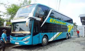 Para atlet diharapkan hadir lima hari sebelum latihan dengan status sudah divaksin oleh enam vaksin yang sudah disetujui who dan sebelum keberangkatan melakukan tes pcr, ujarnya. Perbedaan Harga Sewa Bus Pariwisata