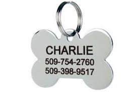 With a wide range of customizable name tags to choose from, you can protect your pet stylishly with his information engraved on the id. Pet Id Tags Personalized Dog Collars Custom Cat Collars Gotags