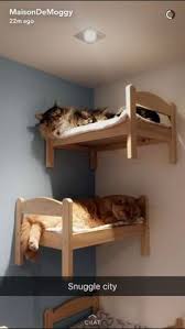 Top 20 World S Cutes Cat Bunk Beds Pet Furniture Cat Room