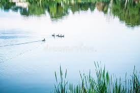 Nancy Galligan (Nancy32)