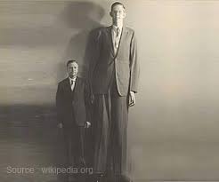 Gigantism is abnormal growth due to an excess of growth hormone (gh) during childhood. Gigantism Causes Signs Symptoms Diagnosis And Treatment