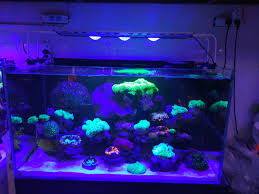 Bluetooth App Control Led Light Coral Grow Marine Reef Tank Sunrise Sunset White Blue Aquarium Fish Tank Sps Lps Color Grow Lightings Aliexpress
