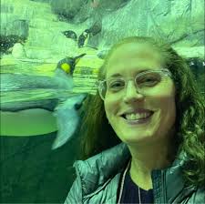 Why are bees attracted to hummingbird feeders?