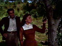 No, this classic irish disney film isn't traditionally classified as horror, but its banshee scenes make it a contender in the irish scary movie contest, or this film has all the leprechauns and banshees you need. That Disney Movie With The Banshee And Sean Connery Dr Hermes Livejournal