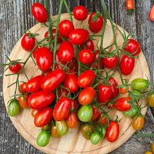 Image result for tomato San Marzano